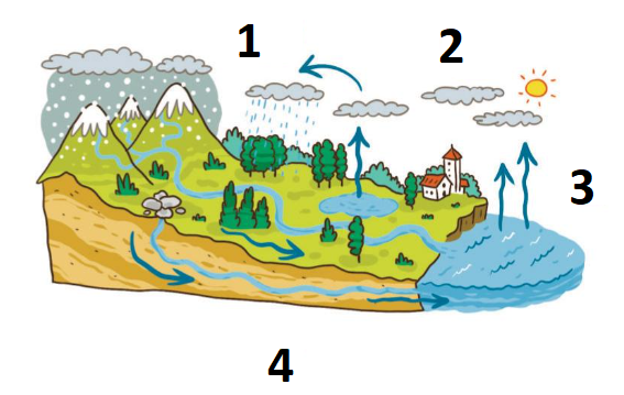 Water cycle.png